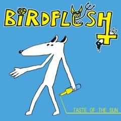 Birdflesh - Taste of the Sun