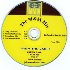 Marvin Gaye - I Want You Lovin Groove Instrumental