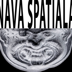 Nava spatiala - live @ 420 (second coming)