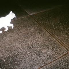 Heaven is a place on earth (SIMIAN GIBBONS no more oceans)