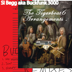 Buckfunk 3000 - High Volume (Wascal mix)