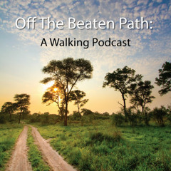 The Walking Podcast (Episode 1) - Social Media Camp Reflections