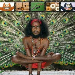 Wasted Fakir - Premaster
