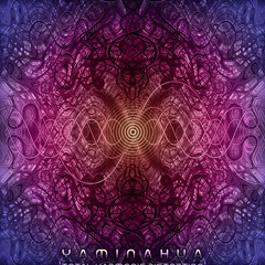 Yaminahua - 8 Bit Dimension ( Total Harmonic Distortion EP ) 2to6 Rec.