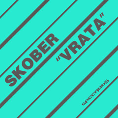 Skober - Vrata