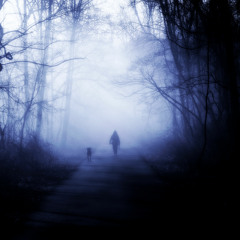 Control Tekk - Dark Forest