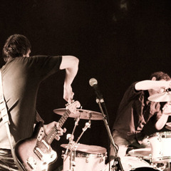 Elephant In The Room