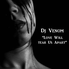 Dj Venom - Love Will Tear Us Apart