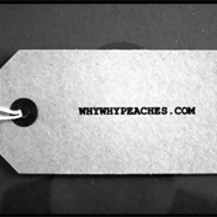 Why Why Peaches - Follow the cops back home (Placebo)