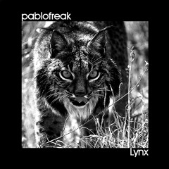 Lynx (Original Mix)