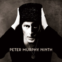 Peter Murphy - The Prince & Old Lady Shade
