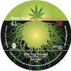 INSINTESI - The big wheel