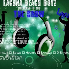 Deejay skrewzz laguna party promo