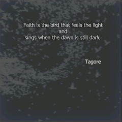 feel the light when the dawn is still dark