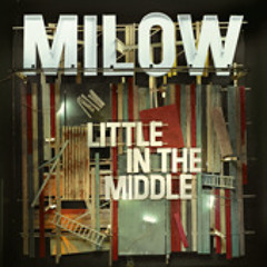 Milow - The Kingdom (Styrofoam's Barely Space Left Remix)