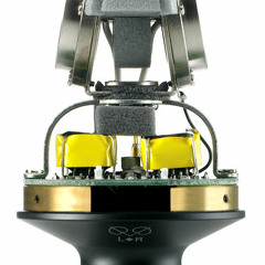 Whitethrout (Sylvia communis)