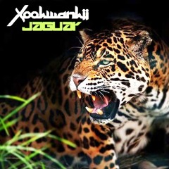 Xookwankii - Jaguar (Xookwankii 11 years mix)