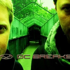 DC Breaks - The More I Want (feat. Rox)