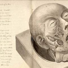 Hey there, crazy Frenchman…