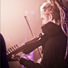 violin