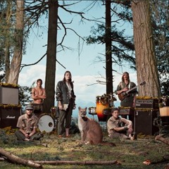 Wild Orchid Children - Birth Of A Cabin