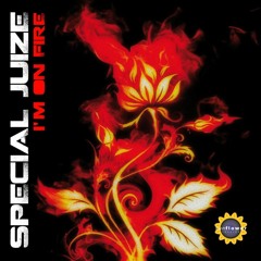 Special Juize - I'm on fire (Radio edit)