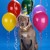 Artwork for No more pianotuned birthdaycards for Edith