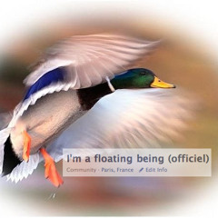 I'm a Floating Being (the FB song 1)