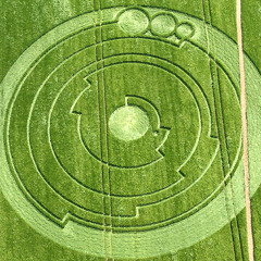 The Strangers - Crop Circles [LINK IN DESCRIPTION]