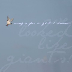 All The Pretty Lights