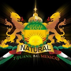 NATURAL TIJUANA REGGAE - Natural - Guerras politicas