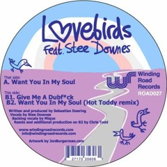 want you in my soul (original & hot toddy remix) / give me a dubfuck