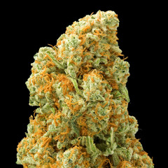 Density.bb222 (Free Download)