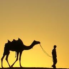 Desert Rose(Original Mix)