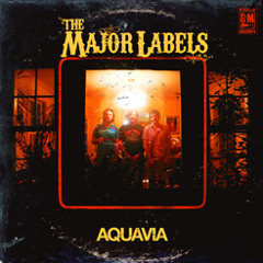 The Major Labels - The Major Labels (Got It Made)