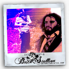 BUCK STALLION: "Loca Wetta"