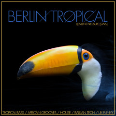 Berlin Tropical (Tropical Bass African Grooves House UK Funky Balkan Tech)