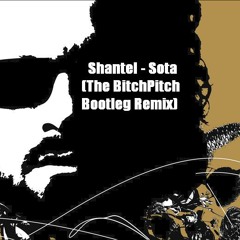 Shantel- Sota (The Bitchpitch Bootleg Remix)