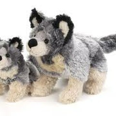 recognizing the wolf