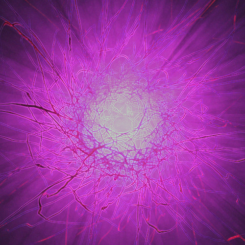 Strangeloop // love all day