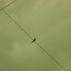 Beat This Heart - Devi Ever cover