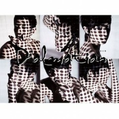 Dalmatian - Lost in Love