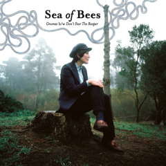 Sea Of Bees - Don't Fear The Reaper