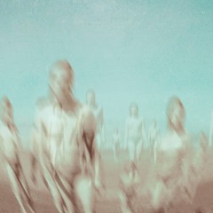 silver birds in dance