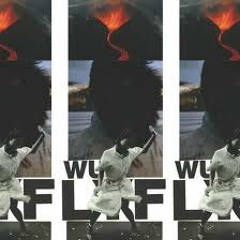 Wu Lyf - LYF