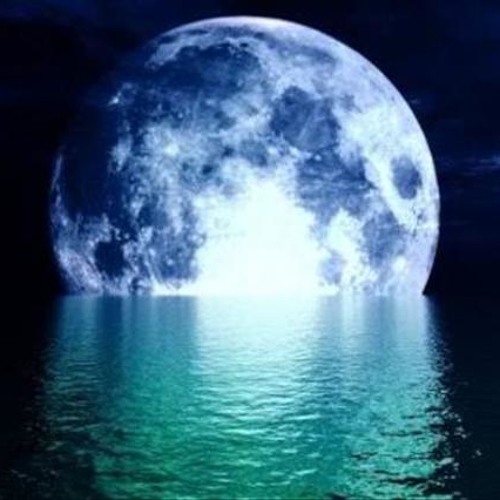 Sonic Spice-The Lunar Seas