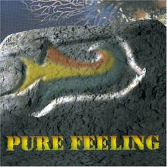 Pure Feeling - Reveladora