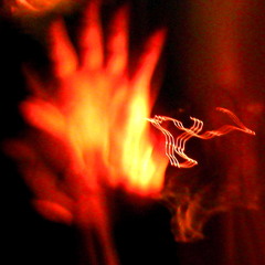 NARA (LIVE FREE DOWNLOAD)