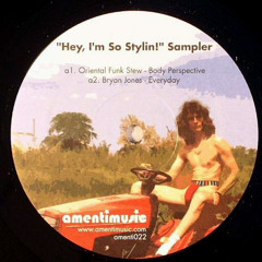 Oriental Funk Stew - Body Perspective
