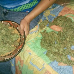 Noah - Cultivator (Cultivator Riddim)